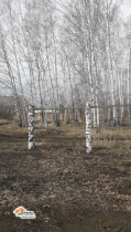 image-2023-08-22 11_54_18